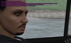 SS3.png