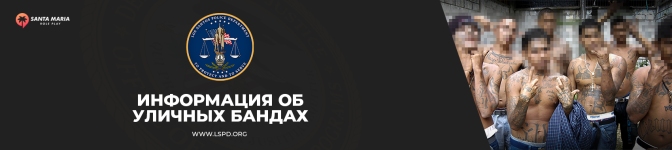 5555555555.png
