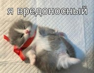 IMG_9053.jpeg
