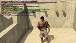 ss2.png