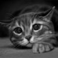 Sqweezy